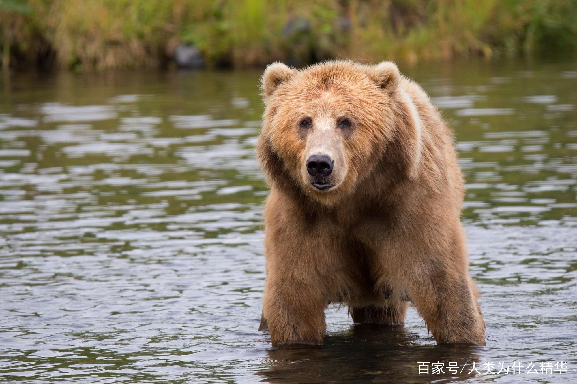 澳门威尼克斯