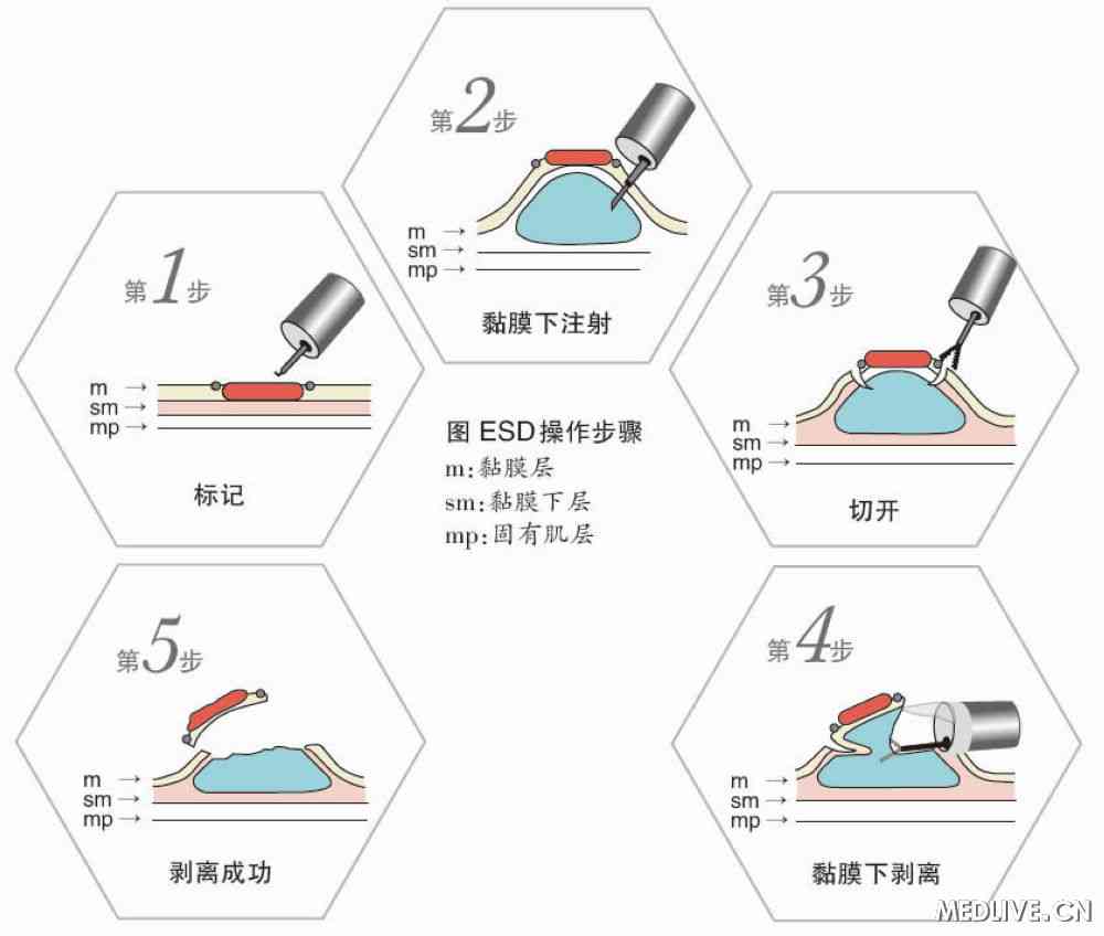 澳门威尼克斯